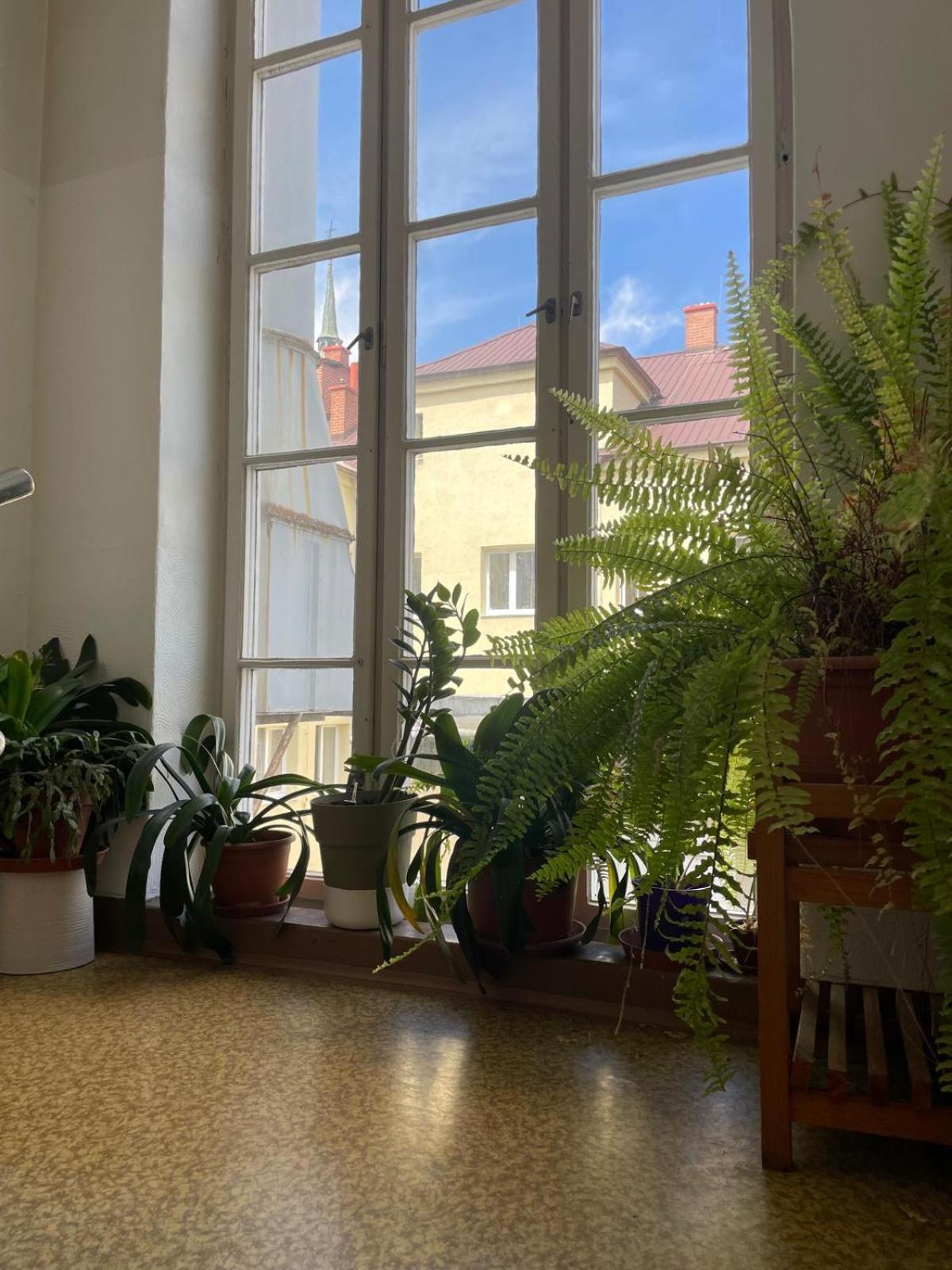 Hostel Moravia Ostrava Bagian luar foto